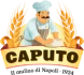 caputo logo transparent 78